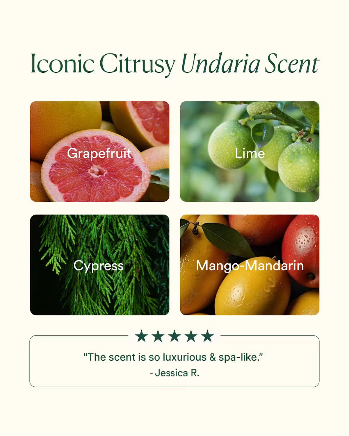 OSEA Undaria Algae Body Butter